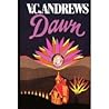 Dawn