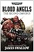 Blood Angels: The Second Omnibus (2)