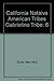 California Native American Tribes Gabrielino Tribe (California's Native American Tribes)