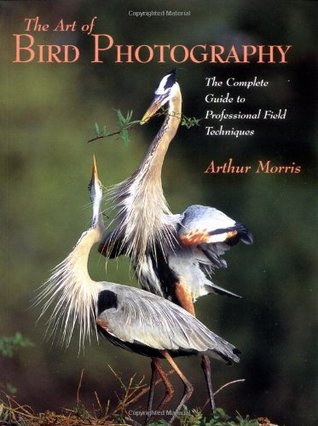 Art of Bird Photography: The Complete Guide to Professional Field Techniques (Paperback)
