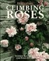 Climbing Roses Climbing Roses