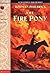 The Fire Pony