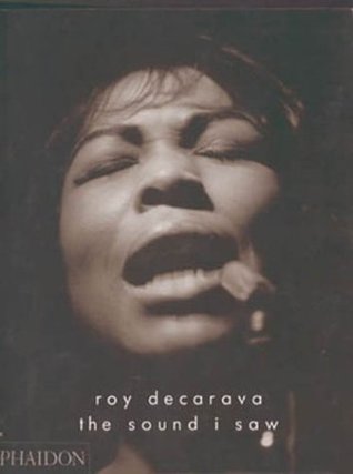 The Sound I Saw (Paperback)