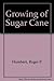 The Growing of Sugar Cane