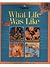 What life was like (The Nature Company discoveries library)