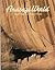 Anasazi World