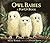 Owl Babies by Martin Waddell