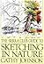 The Sierra Club Guide to Sketching in Nature