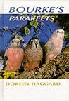 Bourke's Parakeets