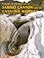 A Guide to the Geology of Sabino Canyon and the Catalina Highway: Coronado National Forest by John V. Bezy (2004-05-04)