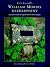 Beth Russell's William Morr...