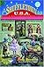 Shuffletown USA: A Multi-Voice Memoir