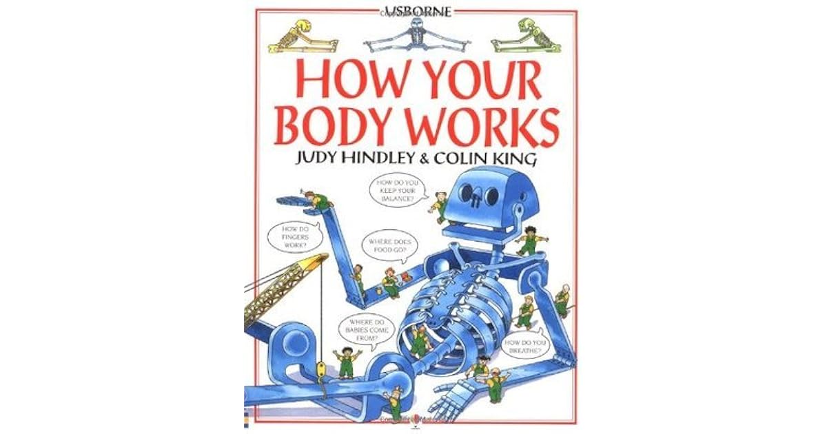 How Your Body Works by Judy Hindley