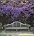 A Small Garden Designer's Handbook by Roy Strong