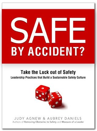 Safe By Accident? (Hardcover)