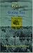 A Place on the Glacial Till by Thomas Fairchild Sherman A Place on the Glacial Till by Thomas Fairchild Sherman