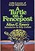 A Turtle on a Fencepost by Allan C. Emery