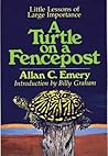 A Turtle on a Fencepost: Little Lessons of Large Importance