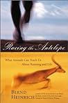 Racing the Antelope: What Animals Can Teach Us About Running and Life