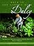 Back In The Garden With Dulcy
