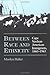 Between Race and Ethnicity by Marilyn Halter