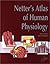 Netter's Atlas of Human Phy...