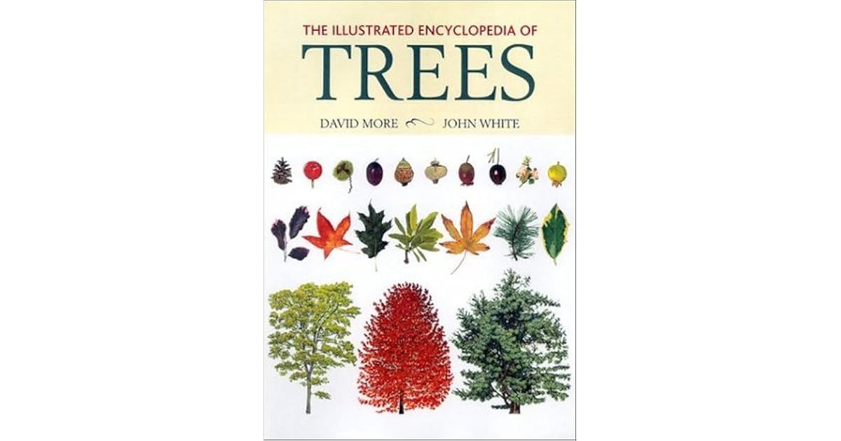 The Illustrated Encyclopedia of Trees by David F. More