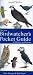 The New Birdwatcher's Pocke...