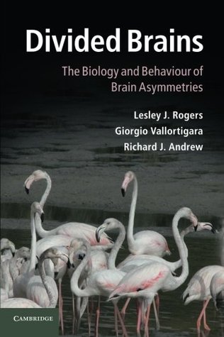 Divided Brains: The Biology and Behaviour of Brain Asymmetries (Paperback)