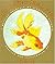 The Magic Gold Fish: A Russian Folktale