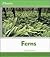 Ferns
