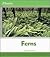 Ferns (Plants)