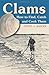 Clams: How to Find, Catch and Cook Them