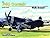 F4U Corsair - Walk Around No. 65