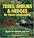 Trees, Shrubs & Hedges for Home Landscaping: Secrets for Selection and Care