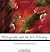 Photography and the Art of Seeing by Freeman Patterson