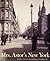 Mrs. Astor's New York: Money and Power in a Gilded Age (Hardcover)