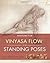 Yoga Mat Companion 1 by Ray Long