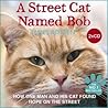 A Street Cat Name...