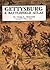 Gettysburg: A Battlefield A...
