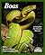 Boas: Everything About Selection, Care, Nutrition, Diseases, Breeding, and Behavior (Complete Pet Owner's Manual)