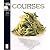 Courses: A Culinary Journey...