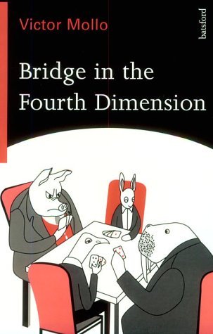 Bridge In The Fourth Dimension (Paperback)