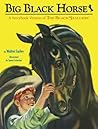 Big Black Horse