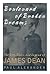 Boulevard of Broken Dreams by Paul Alexander