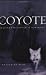 Coyote: Seeking The Hunter In Our Midst