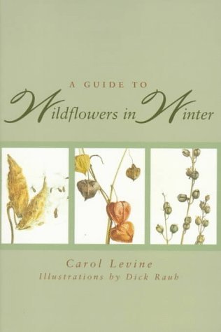 A Guide to Wildflowers in Winter: Herbaceous Plants of Northeastern North America