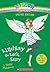 Lindsay the Luck Fairy (Rainbow Magic Special Edition)