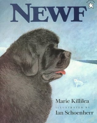 Newf (Paperback)