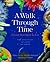 A Walk Through Time: From S...